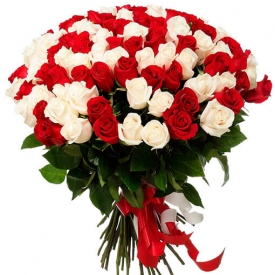 Balta-raudona rožių puokštė