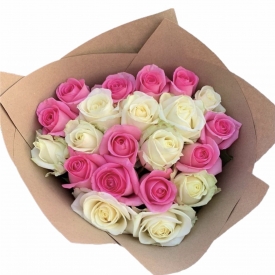 Rožės - balta rožinė (60-70cm) 