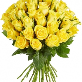 Klasikinės geltonos rožės